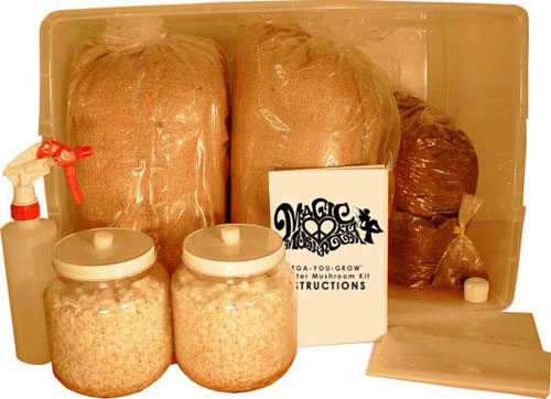mega magic mushroom kits